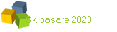 Skibasare 2023